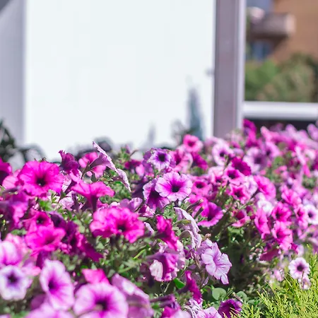Bellevue Park With Free Parking Отель 4*