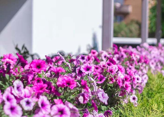 Bellevue Park With Free Parking Hotel 4*